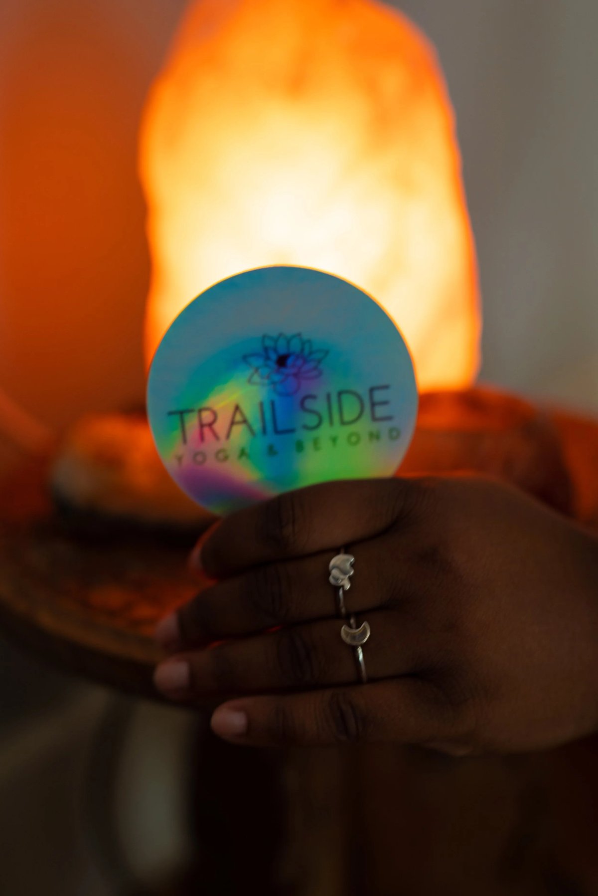 Types and Structures of Karma Yogi Programs for Spiritual Growth